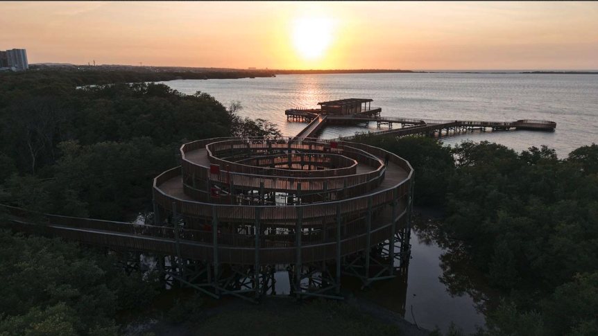 Spiral observation tower at the Ciénaga de Mallorquín ecopark